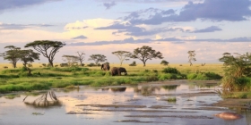 How to Plan Your First Safari in Tanzania's Serengeti National Park